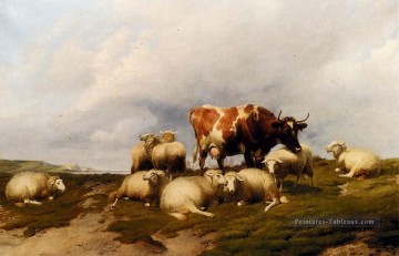  vache Tableaux - Une Vache Et Des Moutons Sur Les Falaises